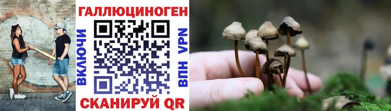 Псилоцибиновые грибы Cubensis  Купить  Алзамай 